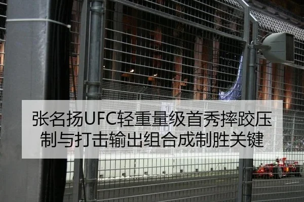 张名扬UFC轻重量级首秀摔跤压制与打击输出组合成制胜关键