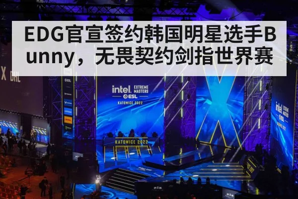 EDG官宣签约韩国明星选手Bunny，无畏契约剑指世界赛